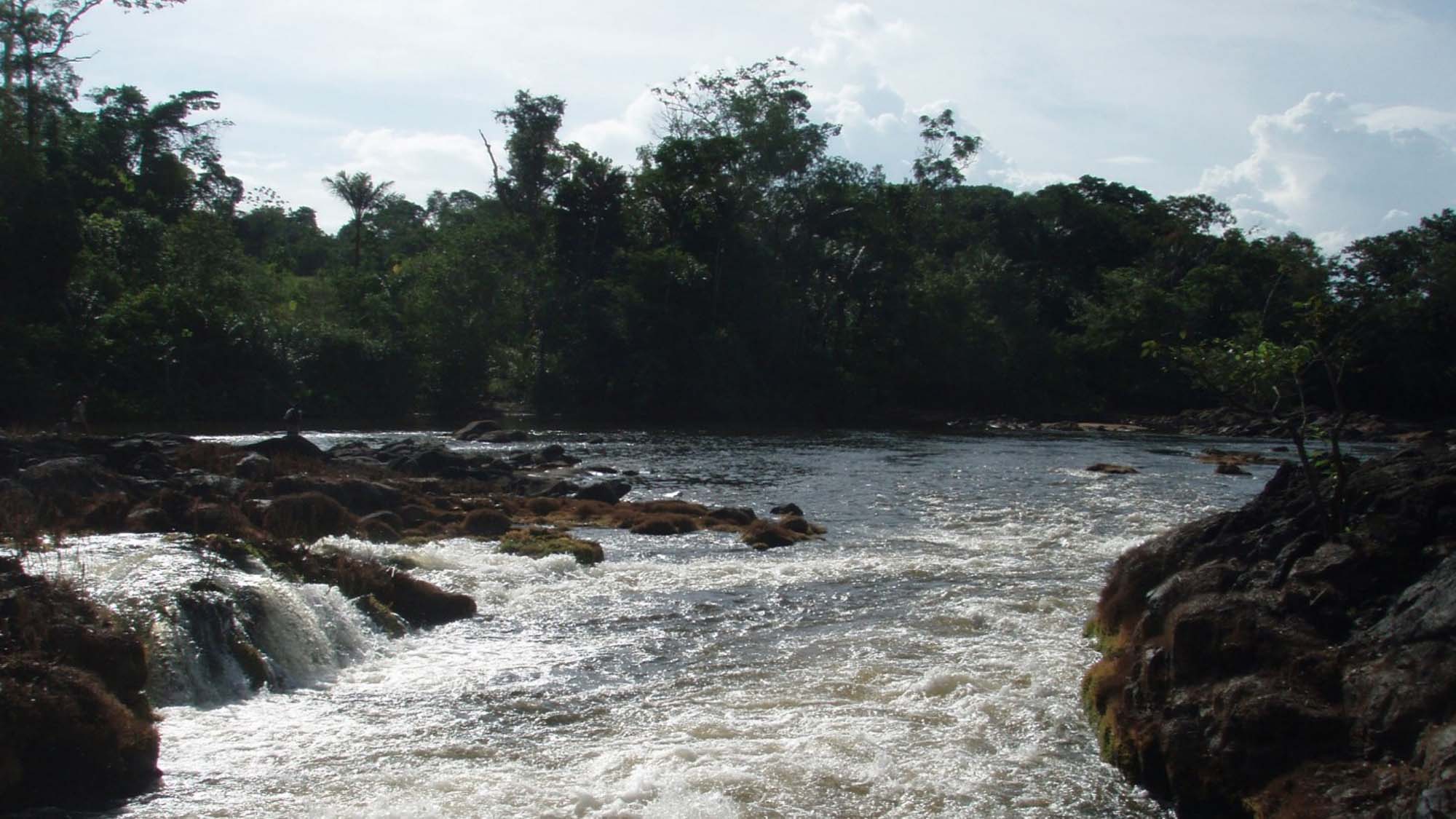 Guyanaise des eaux Favard