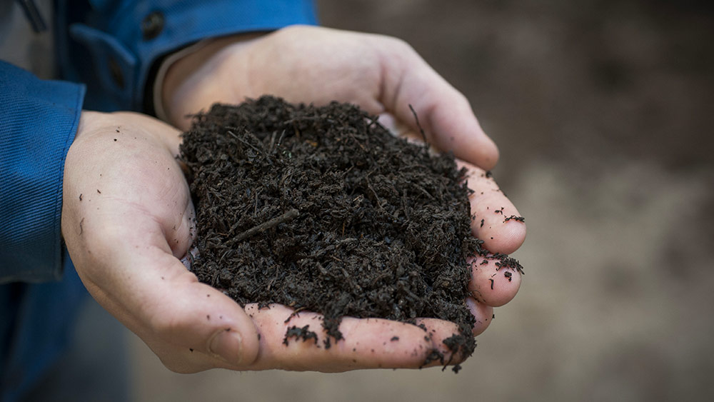Compost-for-agriculture