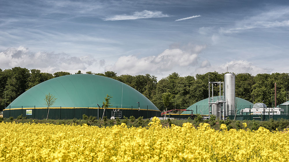 Biogaz production