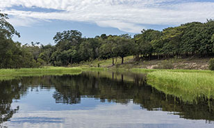 Pond reflection landscape