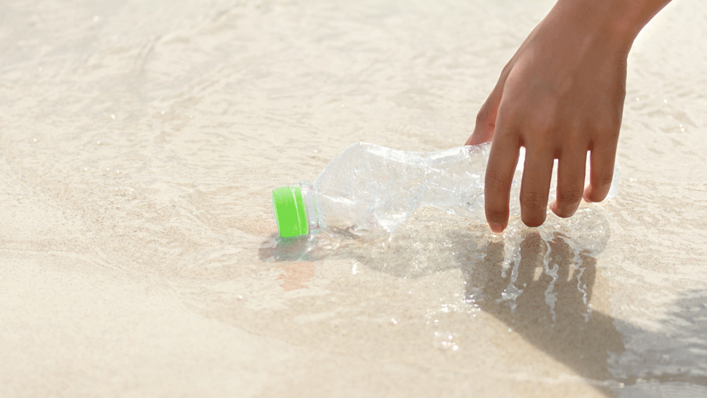 Hand pick Plastic Bottle to Recycling Garbage collection with the beach
