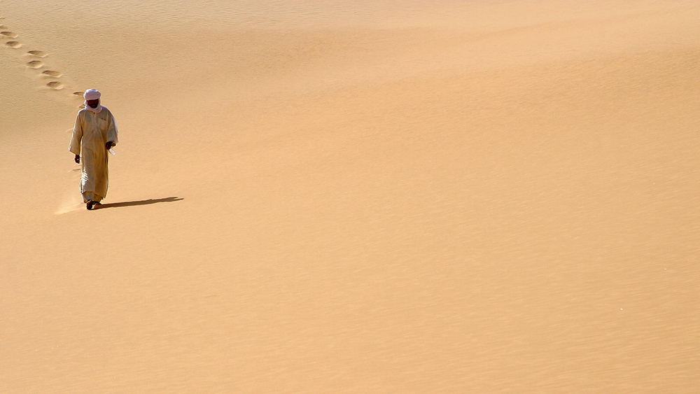 Niger Puits du Desert