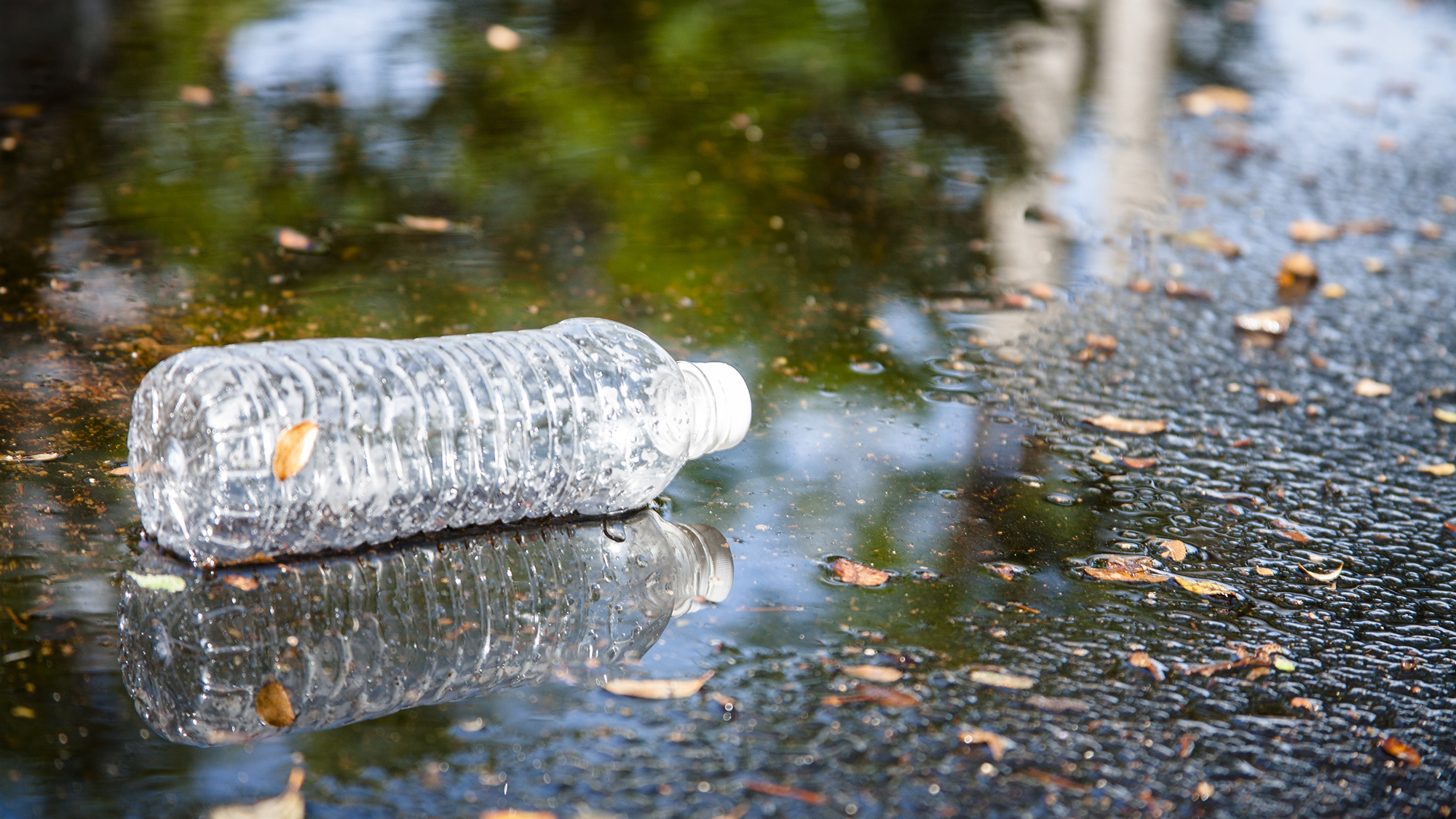 Plastic bottle in puddle