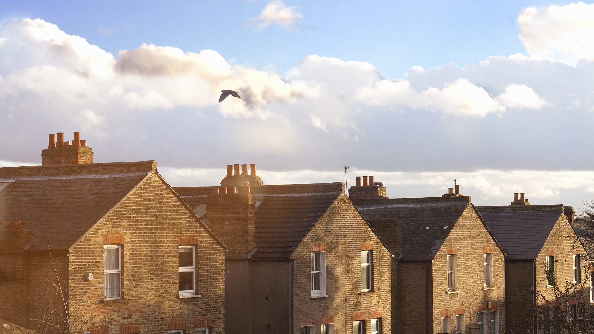 A row of terraced house rooftops